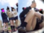 ミミックさんの「夢の国」極秘潜入!制服JKストーキングパンチラ盗撮! Vol.12
