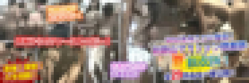 WAC名作ここに復活！「夏脱衣所」Vol.11